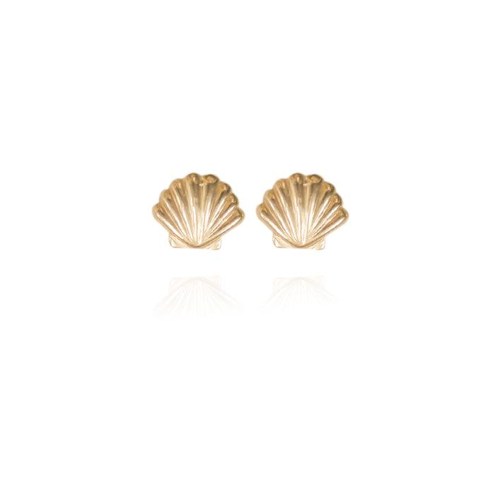 Shell shop shaped earrings